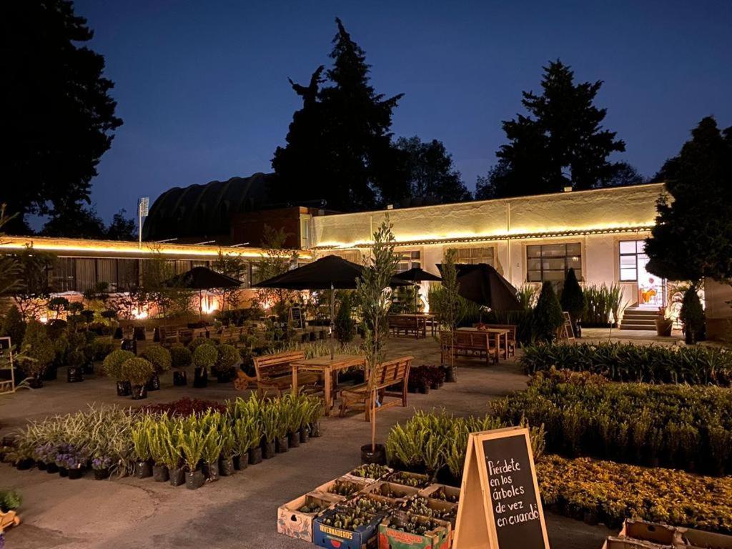 Hotel Express Quinta Soledad Mexico City Exterior photo